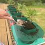 Six Thirsty Tomato Grow Bag Pots Watering Aid Kit, thumbnail 1 of 11
