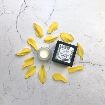 Narcissus Daffodil – Enfeurage Pomade Solid Perfume, 5 of 6