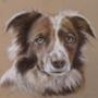 Personalised Pet Portrait Commission, thumbnail 4 of 12
