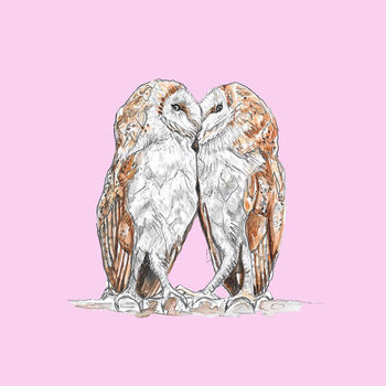 Barn Owls Love Print, 3 of 5