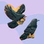 Murder Of Crows Iced Biscuits, thumbnail 2 of 3