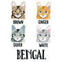 Personalised Cat Handkerchiefs, thumbnail 3 of 11