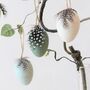 Set Of Six Speckled Feather Hanging Easter Eggs, thumbnail 3 of 5