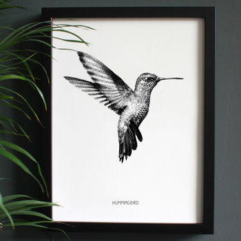 Encyclopaedic Inspired Fine Art Print, Hummingbird, 8 of 9