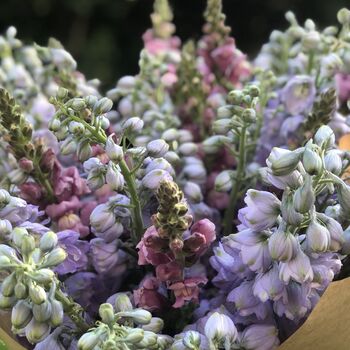 Pastel Tones Seasonal Fresh Flower Bouquet, 3 of 3
