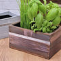 Personalised Wooden Indoor Planter, thumbnail 3 of 6