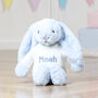 Personalised Pale Blue Bashful Bunny Soft Toy, thumbnail 2 of 8