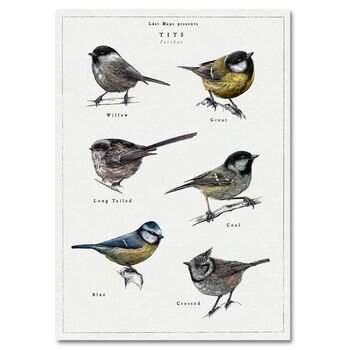 British Tits/Garden Birds Artwork Print, 2 of 9