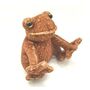 Mini Plush Soft Toy Toad Frog In Gift Box, thumbnail 1 of 6