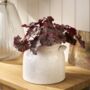 Medium Ravello Ceramic Pot Vase With Handles, thumbnail 1 of 6