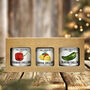 Jam Packed Chilli Lovers 3x Spicy Jam Gift Set, thumbnail 1 of 1