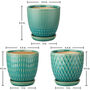 Set Of Three Ceramic Planters With Saucer Tray, thumbnail 6 of 6