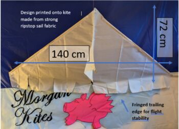 Custom Printed Delta Kite, 4 of 10