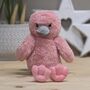 Flo The Plush Long Leg Flamingo Chick Soft Toy, thumbnail 2 of 3