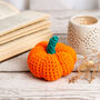 My Pocket Pumpkin Easy Crochet Kit, thumbnail 1 of 8