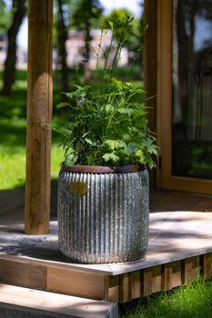 Wootton Zinc Planter, 3 of 4