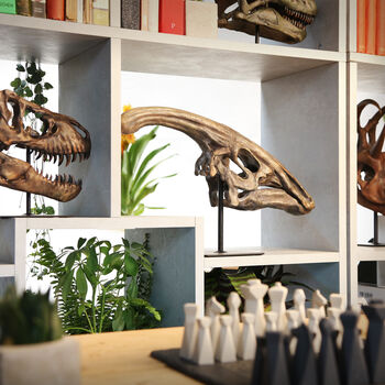 Large Hand Painted Parasaurolophus Skull Dinosaur Sculpture Museum Quality 3D Resin Fossil Model On Black Metal Stand, Statement Home Decor, 3 of 4