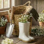 Mother's Day Plant Lover Gift Hamper, thumbnail 1 of 7