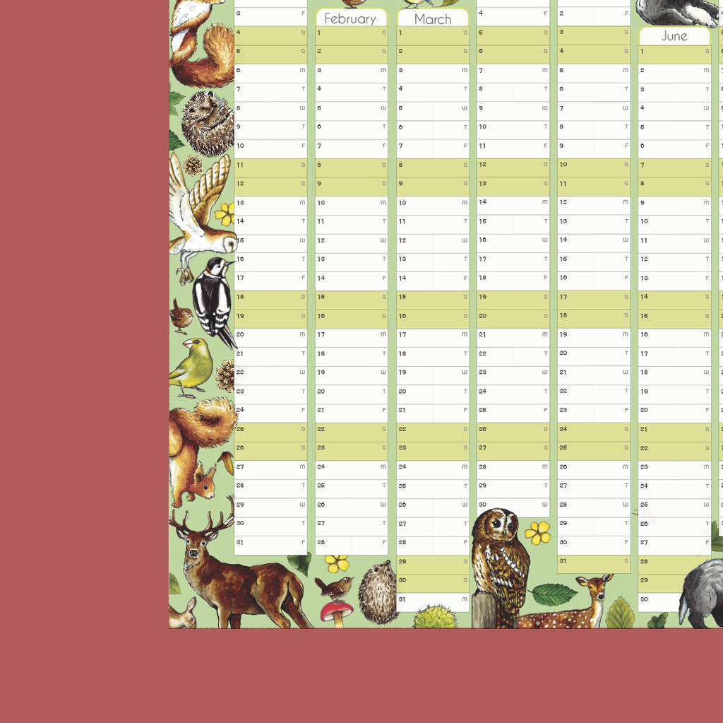 2025 Woodland Animals Wall Calendar And Year Planner By Alexia Claire