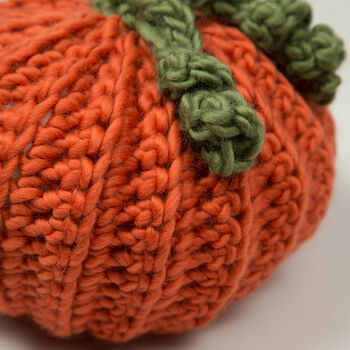 Pumpkin Trio Crochet Kit, 8 of 10