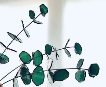 Eucalyptus Stained Glass Foliage, 3 of 6