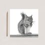 Squirrel Countryside Wildlife Greeting Card, thumbnail 7 of 7