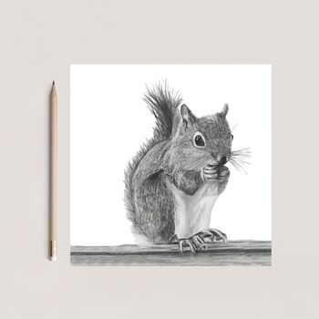 Squirrel Countryside Wildlife Greeting Card, 7 of 7