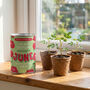 Personalised June Grow Your Own Flower Gift, thumbnail 2 of 4