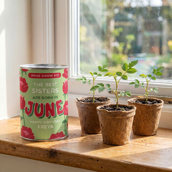Personalised June Grow Your Own Flower Gift, 2 of 4