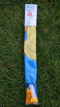 Rubber Ducky Kite, 5 of 5