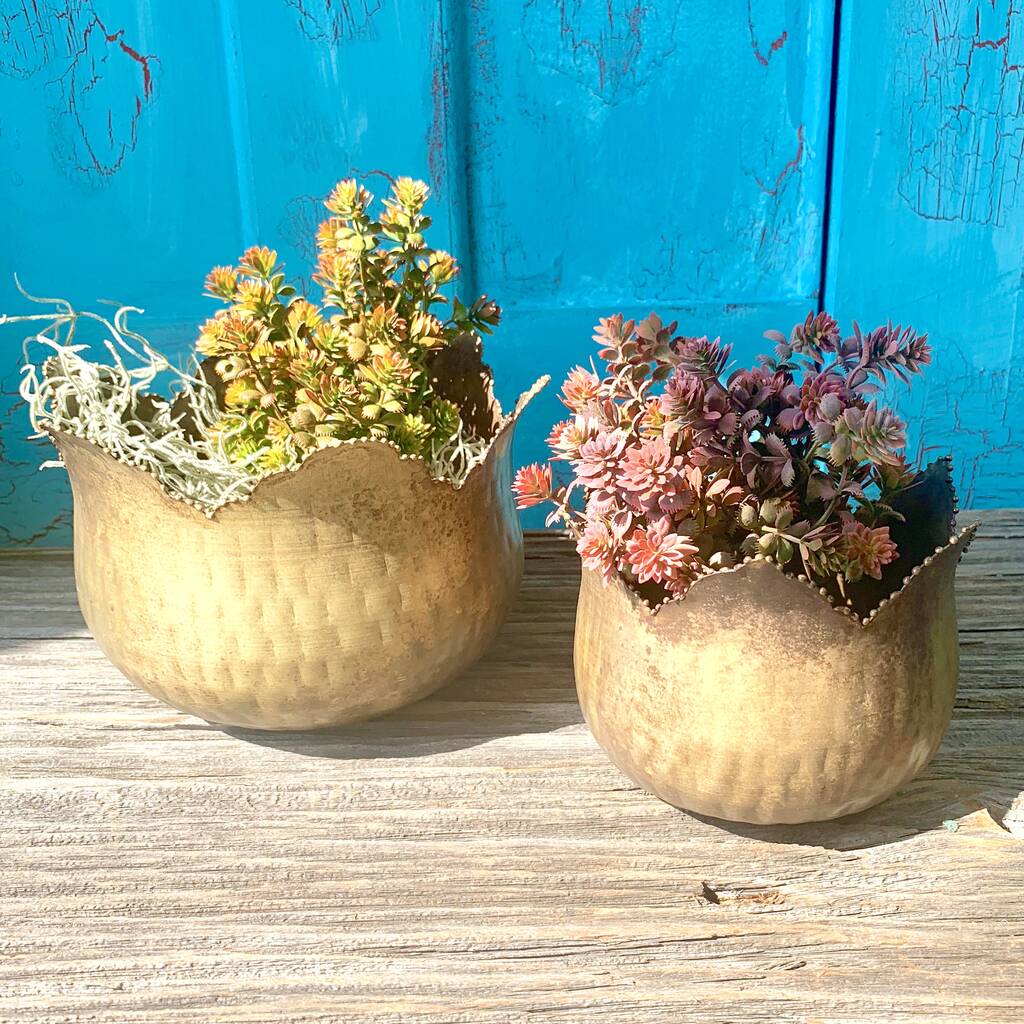 Set Of Two Conservatory Planters Ltzkr023, 1 of 9