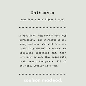 Funny Chihuahua Silhouette Dog Card, 2 of 6