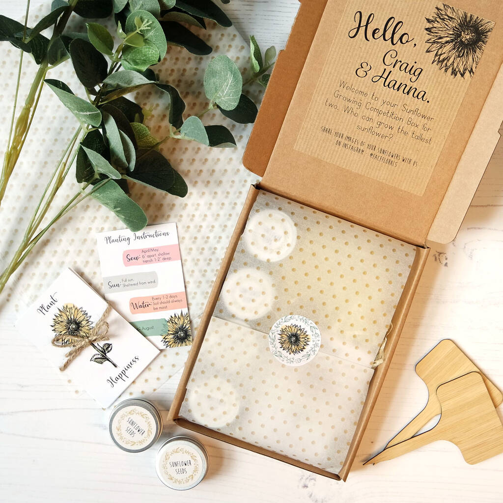 Sunflower Growing Competition Kit For Two By Face Florals