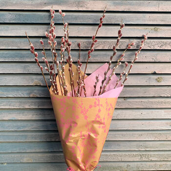 Pink Pussy Willow Fresh Cut Stems, 3 of 6