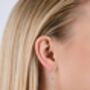 Drop Feeder Earrings, thumbnail 1 of 4