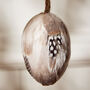 Set Of Three Hanging Eggs With Feathers, thumbnail 5 of 6