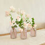 Pink Glass Bottle Vases Set Of Three, thumbnail 1 of 7