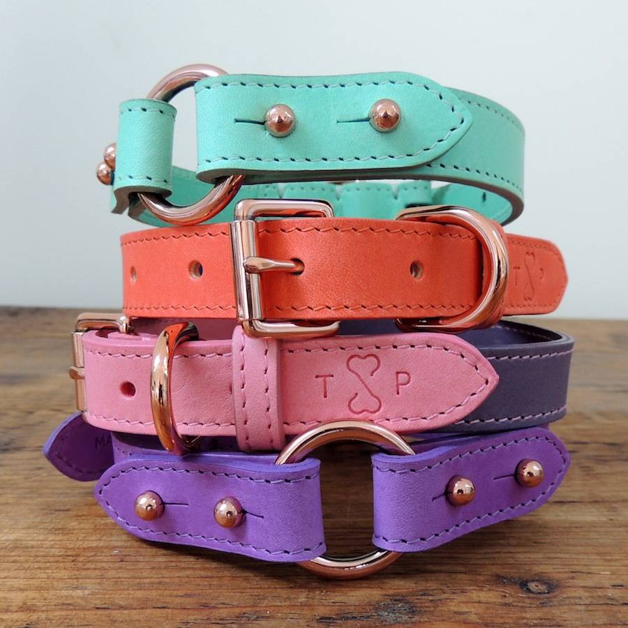 parsons dog collar for him by throw & phetch | notonthehighstreet.com