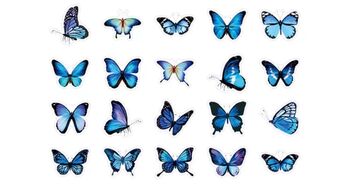 Butterfly Aesthetic Sticker Sets, 11 of 11