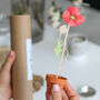 Wooden Flower Stem With Personalised Terracotta Pot, thumbnail 1 of 7