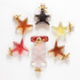 Christmas Gin Star With Festive Message, thumbnail 3 of 3