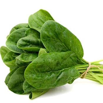 Vegetable Plants Spinach 'Renegade' Plug Pack, 6 of 6