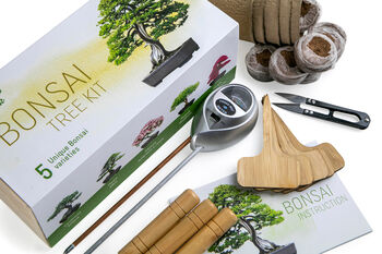 Grow Your Own Bonsai Tree Kit, 5 of 6