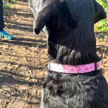 Dog Collar | Pink Princess, 7 of 10