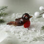 Robin Glass Ornament In Gift Box, thumbnail 1 of 2