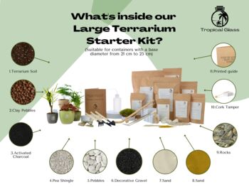 Large Diy Terrarium Kit With A Step By Step Guide, 5 of 7