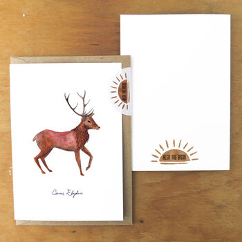 Sylvan Stag Greetings Card, 4 of 7