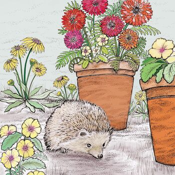 'Hedgehog' Print, 3 of 3