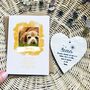 Pet Loss Faithful Friend Card And Keepsake, thumbnail 1 of 8