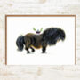 Shetland Pony Christmas Card Pack, thumbnail 2 of 5